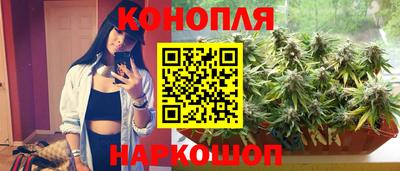 Альфа ПВП Можайск