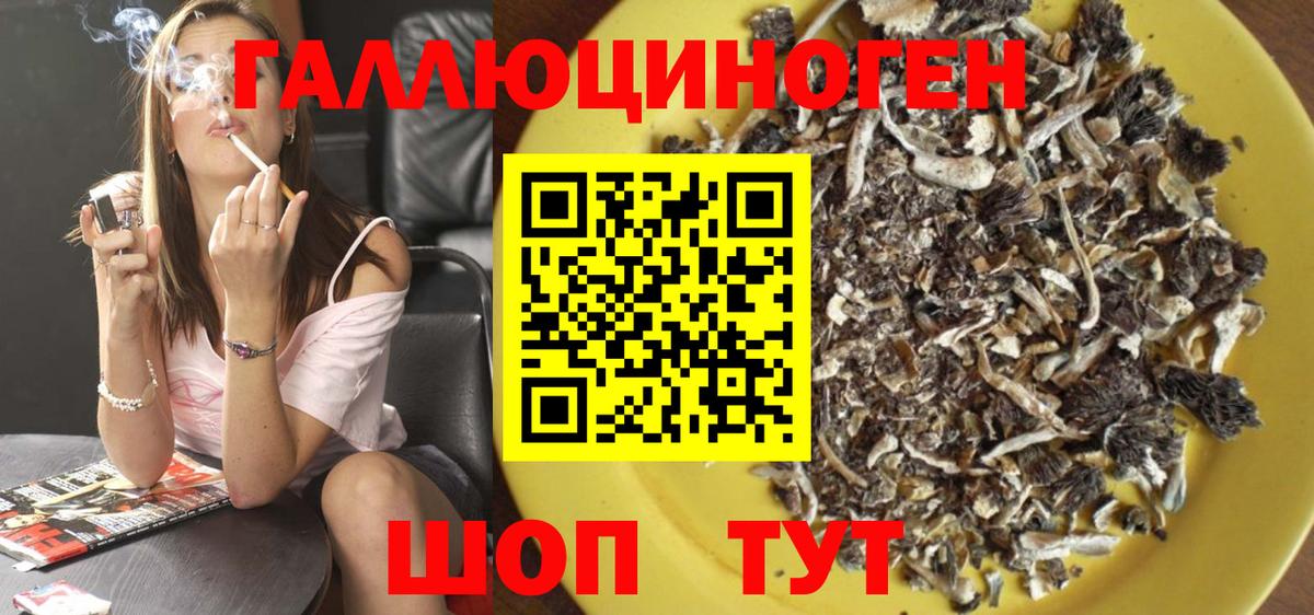 купить закладку  Вход с VPN  Курганинск  Псилоцибиновые грибы ЛСД 